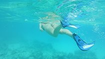 Pongwe Coral reef Snorkeling