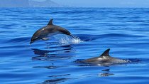 BLUE LAGON & 3 islands full day private speedboat tour