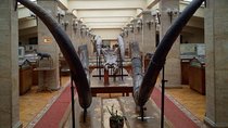 The secret museums of Sofia