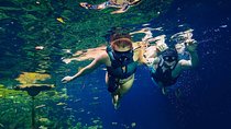 Tour Xenotes Departure from Playa del Carmen 
