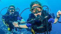 From Luxor : Utopia Island Royal VIP Snorkeling Sea Trip
