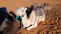 3 days desert Tours _ small Groups 