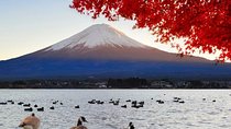 Mount Fuji & Lake Kawaguchi Group Day Tour from Tokyo