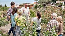 VIP Grand Tour Isla de Tenerife from South Tenerife