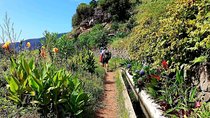 Levada Serra D´Agua