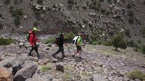 Half day Hiking between palm trees and valley in agadir 