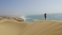 Sahara Tour : Half day trip to sahara (sand dunes ) with lunch 