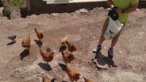  Discovery of the Atlas Mountains Lifestyle Day Trip 