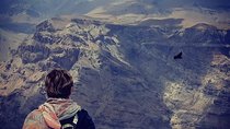 Transfer from Valparaiso or San Antonio Port + Condor Watching Tour