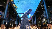 Beijing Night Driving Self-Guide Tour Assist by English Speaking Driver 