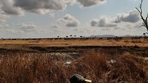 3 Days Mikumi National Park