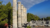 Priene & Miletos & Didyma Tour from Kusadasi