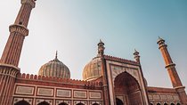 Transit Tour - Best of Old Delhi's Attractions & Food on a guided 4 hours tour