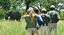4 Days 3 Nights Victoria Falls Camping Adventure