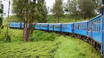 4 Days Tour to Kandy, Sigiriya & Nuwara Eliya