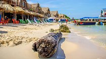 Enjoy the tranquility of Playa Blanca