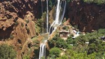Ouzoud Waterfalls Full-Day Tour from Marrakech