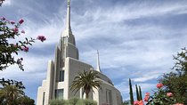 Rome: 3-hours visit of Rome Italy Temple (private cab)