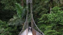 Shuttle From Liberia Airport To La Fortuna - Arenal San Carlos