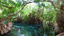 Best Materuni waterfall and chemka hotspring day Tour Experience