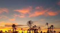 the best Camel ride exp in desert of Marrakech 