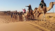 Sahara Desert Overnight From Fez To Fez ( Small Group ) 