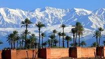 Palmeraie Camel Ride Experience from Marrakech