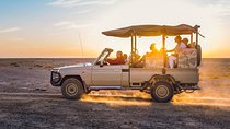 Experience Petra & Wadi Rum in One Day From Amman