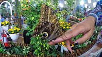 Miracle Garden, Butterfly Garden & Global Village with Transfers