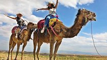 Day Trip with a Group to Desert Agafay and Atlas Mountains 