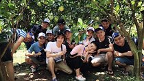 Mekong Delta 1 day "My Tho-Ben Tre" with BBQ lunch
