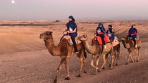  Quad bikes & Camel in Agafay Desert with lunch 