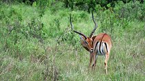 1 Day Mount Longonot Trek