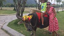 Luxury private Ninh Binh day trip from Hanoi (Hoa luu-Tam Coc- Cycing)