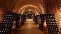 Tour in 3 sparkling wineries in Luján de Cuyo and Maipú