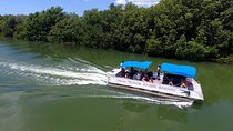 Black River Safari and YS Water Falls 