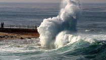 A Local’s Guide to La Jolla’s Sights: A Self-Guided Urban Stroll