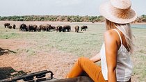 Half Day Minneriya National Park Safari from Habarana