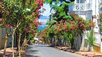 Buyukada Princes’ Island Guided Day Tour with lunch from Istanbul
