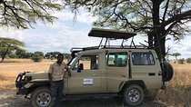 5 Days Adventure to Selous and Mikumi park