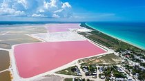 Tour Las Coloradas 