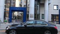 Taxi Shuttle Private Chauffeur Strasbourg - Europa-Park