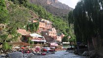 Ourika Valley Day Trip from Marrakech