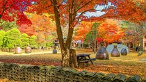 Private Trip to Nami Island and Ski Resort