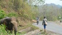 Vietnam Laos Thailand Expedition (Available for both Motorcycle & 4WD)