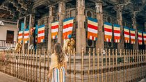 Kandy Sightseeing Day Tour from Bentota (All Inclusive)