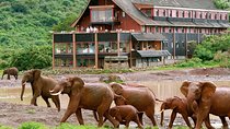 4 Days Aberdares National park & Samburu National Reserve Wildlife Safari 