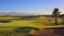Golf lesson 2 hours transport included