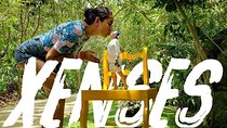 Tour All Inclusive Park Xenses with Transportation from Cancún & Riviera Maya