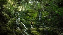 Skeleton Gorge to Table Mountain summit
